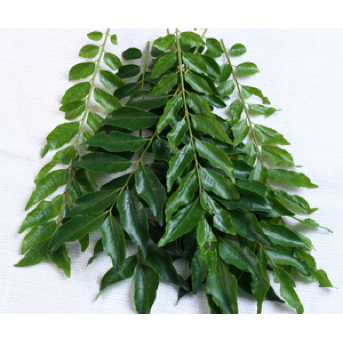 CURRY LEAVES- 1BUNCH